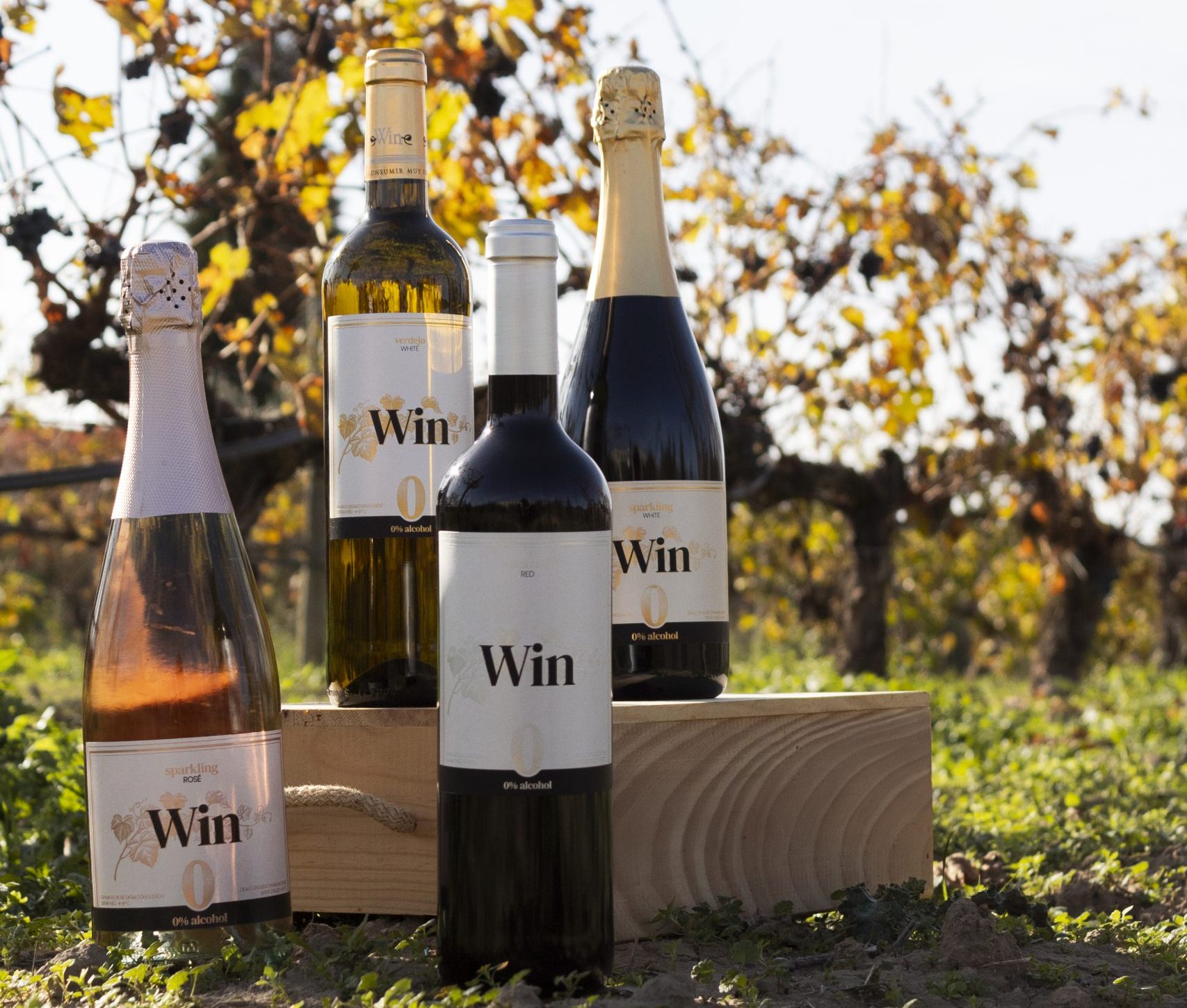 Foto_bodegon_WIN_20241