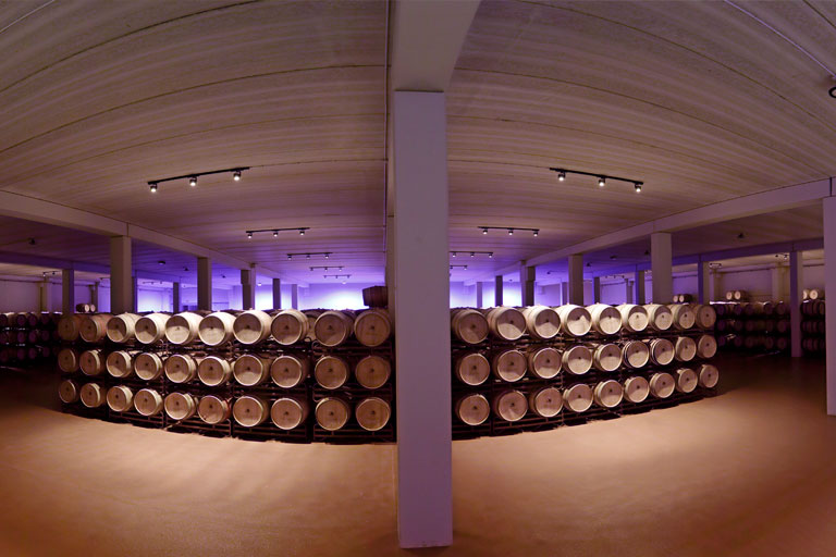 bodegas-aragonesas-almacen