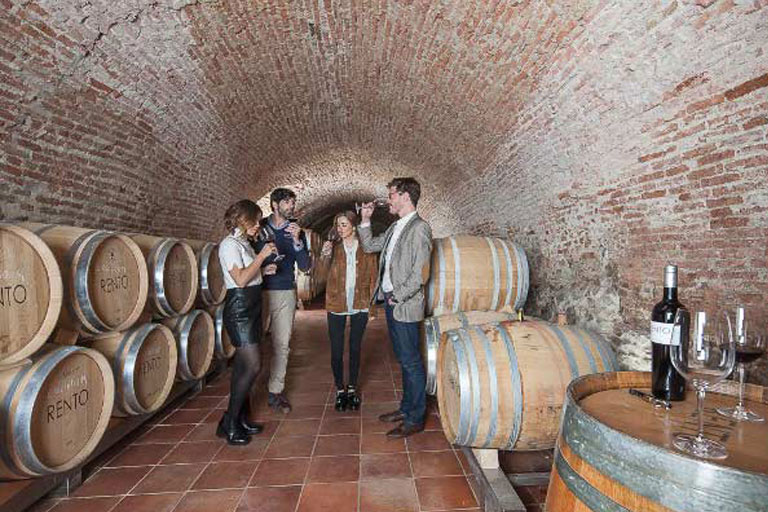 bodegas-rento-cata