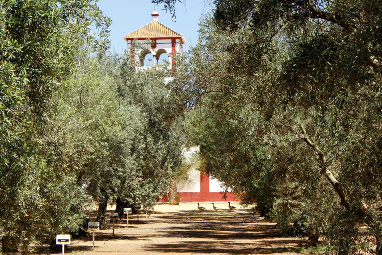 hacienda-guzman-picnic-edificio