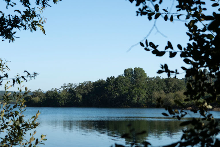 hijos-rivera-ecotour-lago