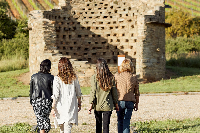 pittacum-paseo