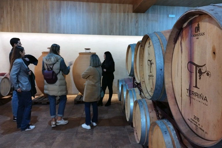 vinigalicia-enologa-guiada