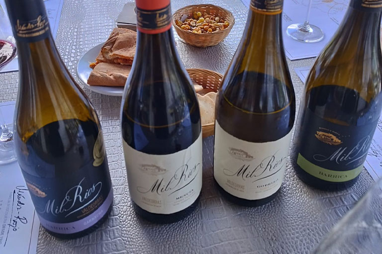 vinigalicia-terrina-premium-botellas