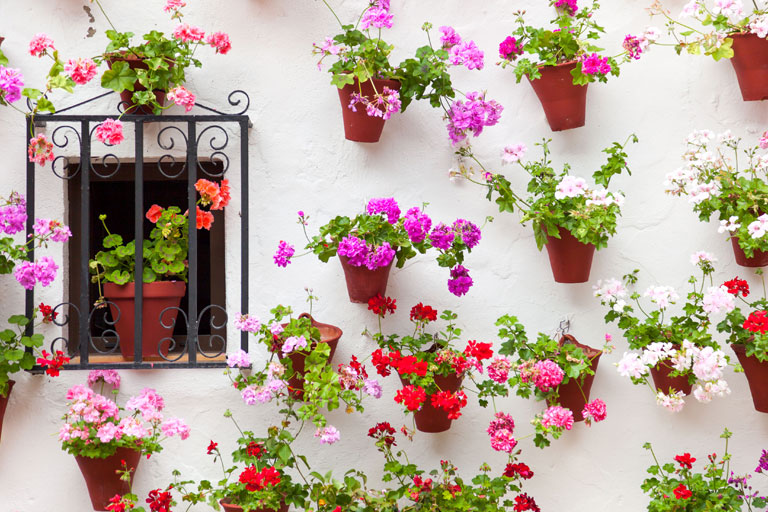 nhc-cultural-cordoba-flores